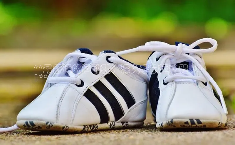 Bsports手机版同程**最舒适的运动鞋：深入李宁运动鞋 00
1**