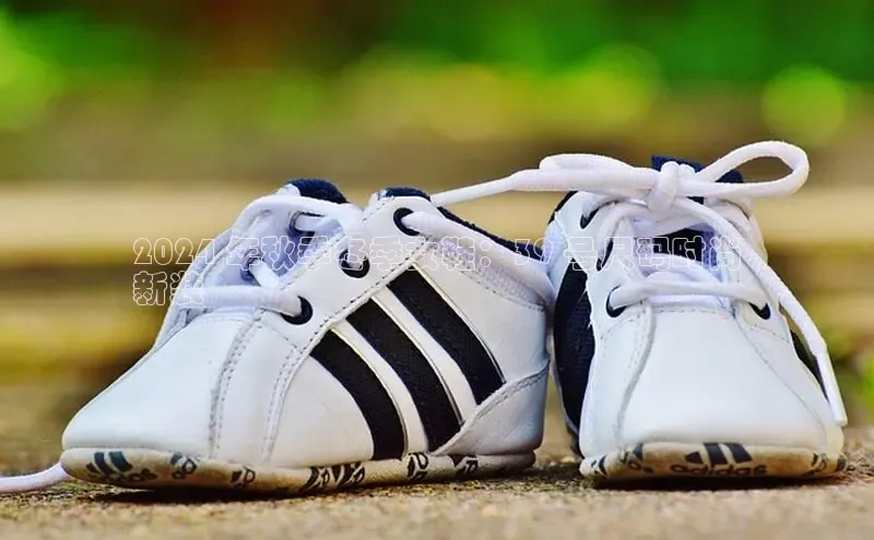 bsport体育官方网站BSPORTS百度搜索资源平台2024 年秋季冬季女鞋：39 号尺码时尚
新装