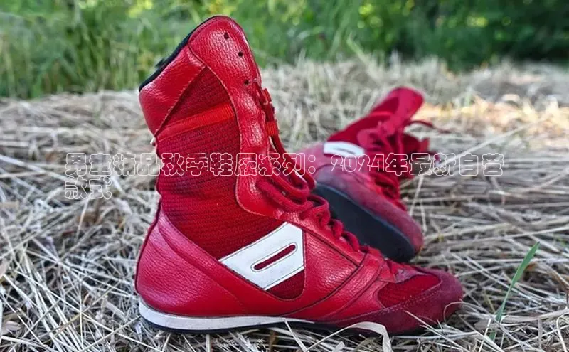 bsport体育最新官网入口百度网盘企业版男童精品秋季鞋履系列：2024年最新自营
款式