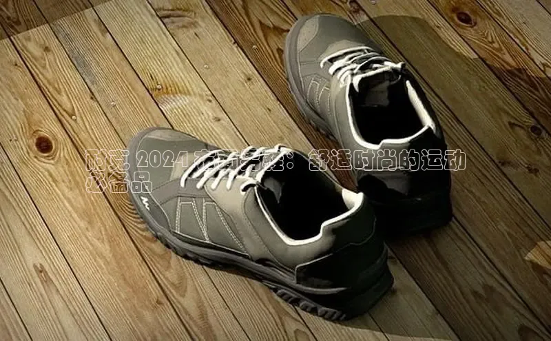 bsports网页版登录官方入口雷柏科技耐克 2024 布面男鞋：舒适时尚的运动
必备品