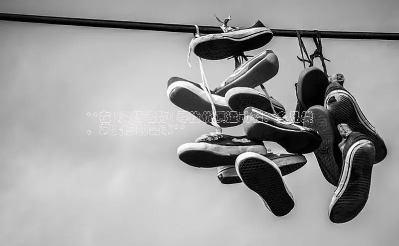 B—sports旧版下载百度识图