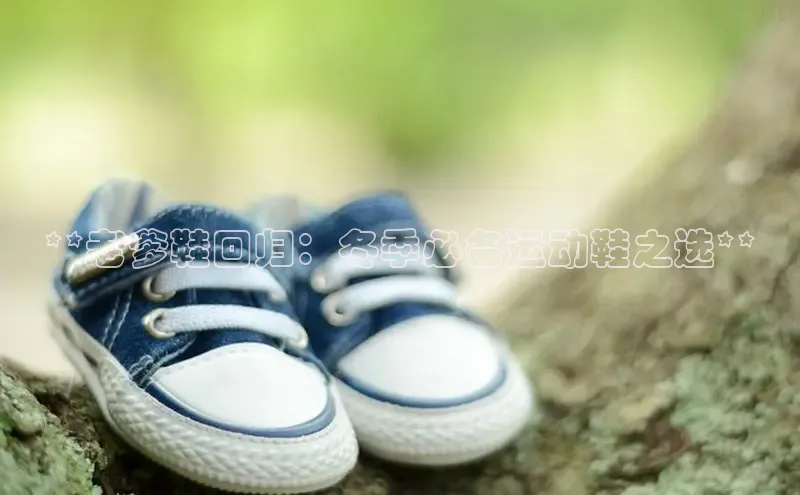 Bsports网页版登录入口彩讯股份**老爹鞋回归：冬季必备运动鞋之选**