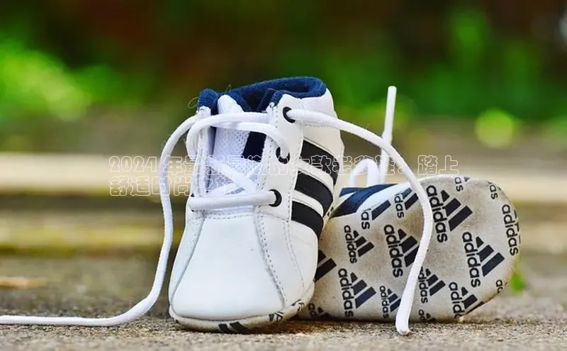 Bsports在线登录入口百度教育2024 年最新最潮的女款老爹鞋：踏上
舒适时尚之旅