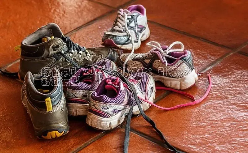 b体育官方下载入口最新版百度健康绿色男鞋 2024 年流行款：引领潮流，
舒适有型