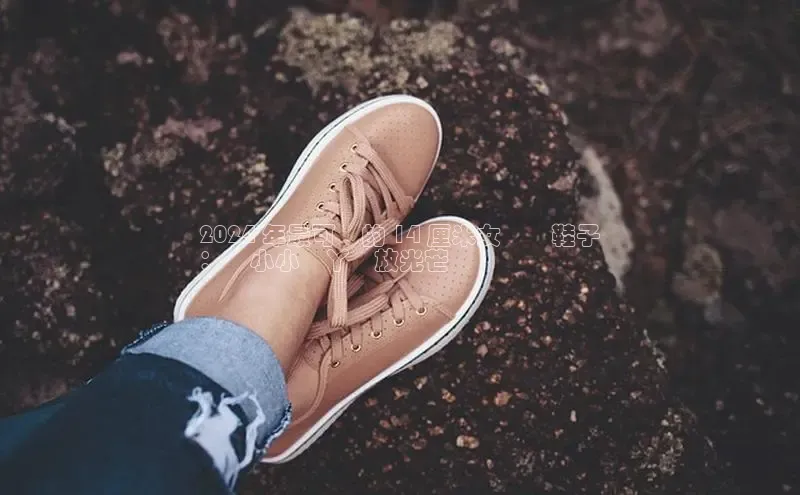 Bsports官网赛富乐斯2024 年最可愛的 14 厘米女寶寶鞋子
：讓小小腳丫綻放光芒