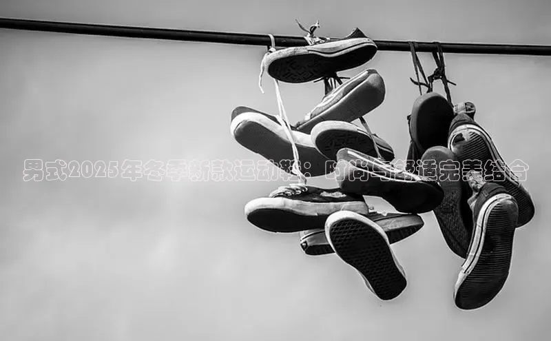 男式2025年冬季新款运动鞋：时尚与舒适完美结合