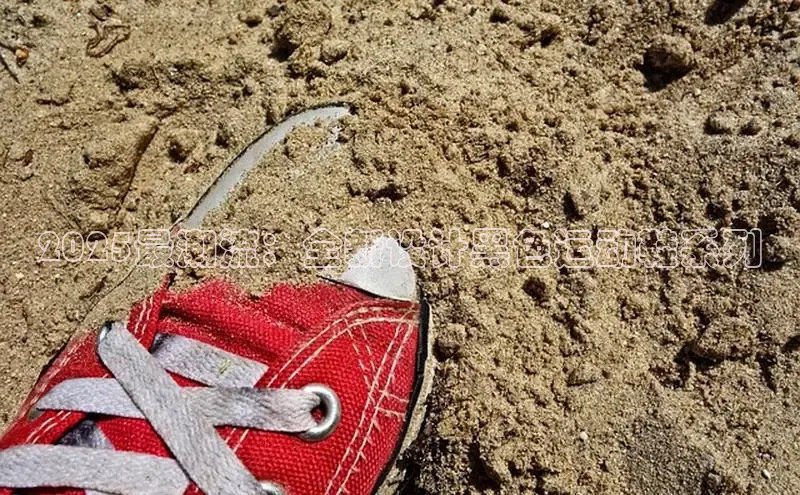 2025最潮流：全新设计黑色运动鞋系列