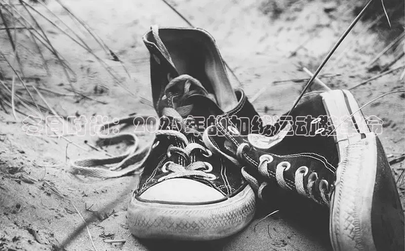 冬日时尚：2025年的加绒运动鞋革命