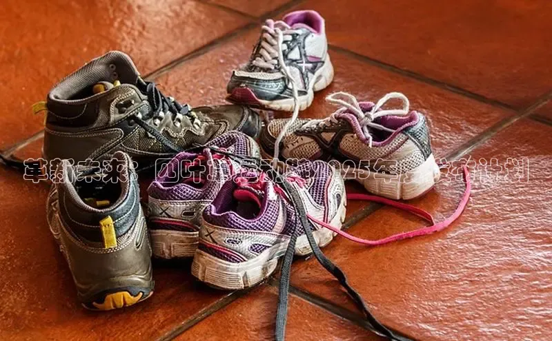 革新未来：四叶草运动鞋2025年度发布计划