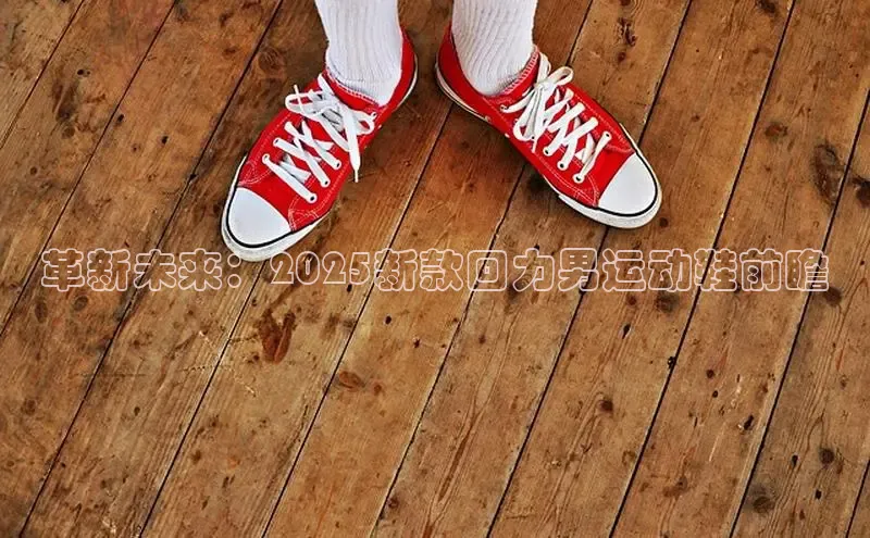 B体育官方入口APP