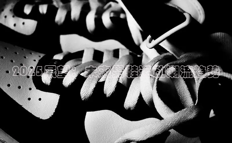 B体育网页登录版