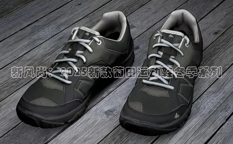 B体育官方入口APP