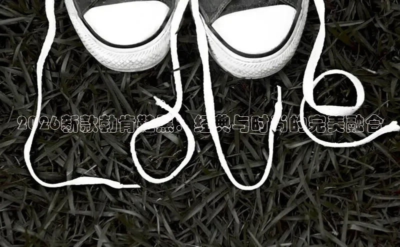 必一体育sport网页版登录